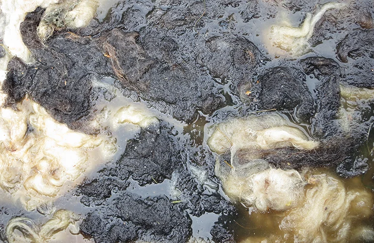 Wie werden Vitamin D-Präparate hergestellt?