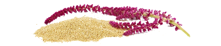 amaranth