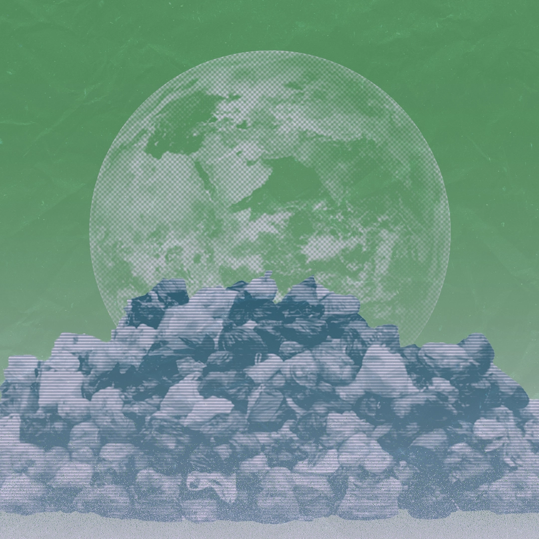 Ein Ende dem Verschwendermarkt