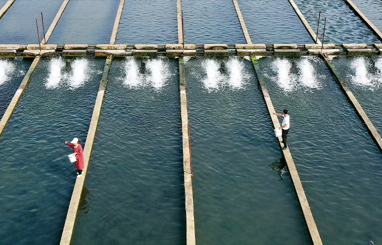 Villagers feed sturgeon in Handan, China. (Photo by Costfoto/Future Publishing via Getty Images)