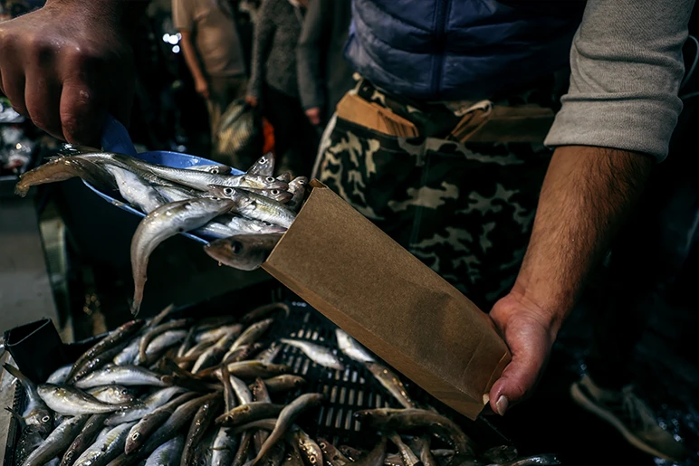 90% of the wild fish used in fish food is fit for direct human consumption. 