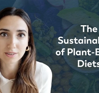 Are_Plant_Based_Diets_Really_More_Sustainable__%7C_FoodUnfolded_Explains.webp