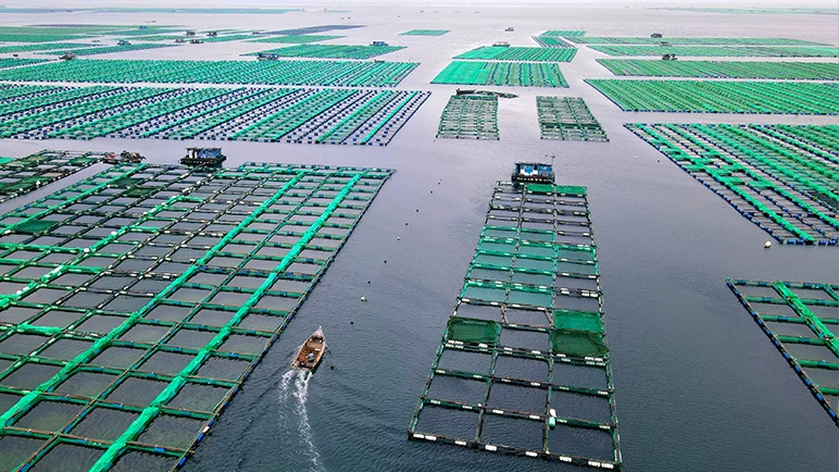 The largest increase in seafood consumption has been coming from Asia