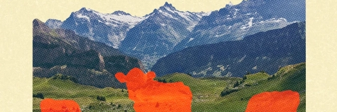 wie-aus-alpkraeutern-alpkaese-wird