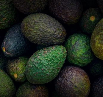 AvocadoCostofPorduction_Thumb_Update1.webp