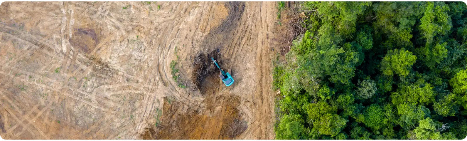 What does eating sustainably actually mean?