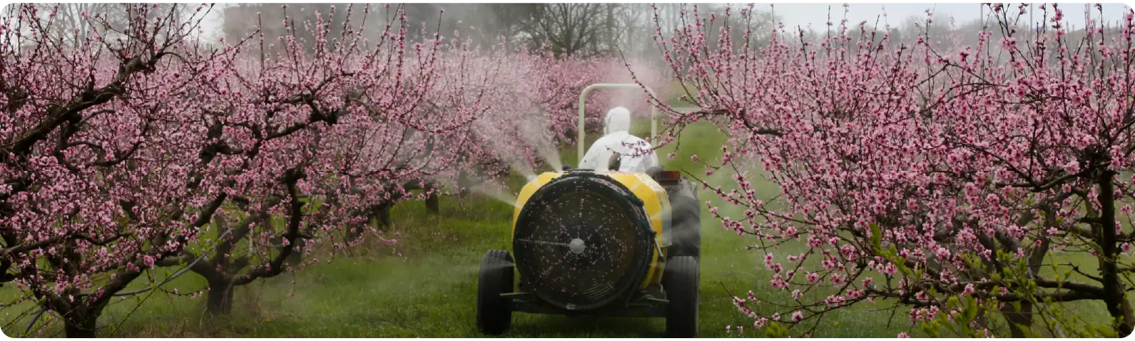 What does eating sustainably actually mean?