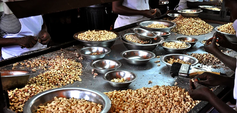 Workers are often paid by kilo, with supermarkets selling cashew nuts for 200x the price that workers are paid. 