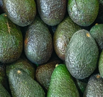 category-image-avocado-cost.webp