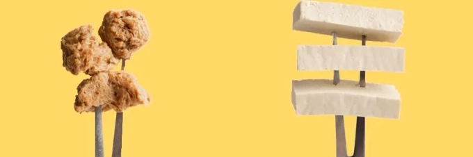 la-biodisponibilidad-de-las-proteinas-vegetales