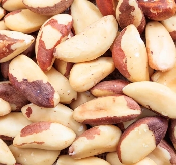category-image-brazil-nuts.webp