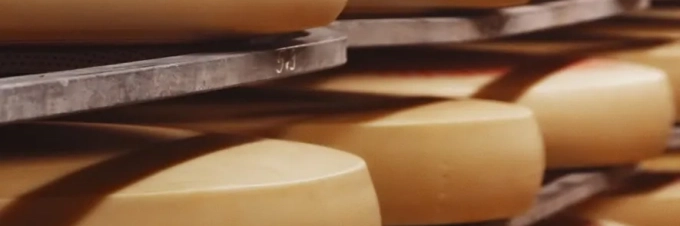 queso-de-leche-cruda-o-pasteurizado