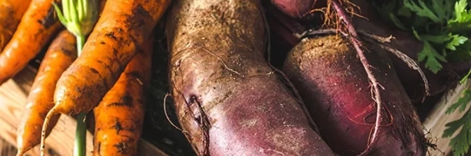 how-chopping-your-veg-changes-its-nutritional-content