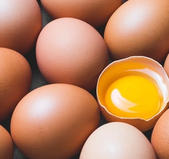 category-image-eggyolks.webp