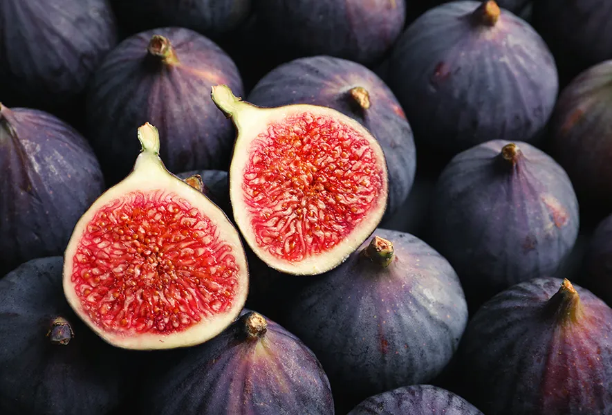 Feigen und Wespen | Wie Pflanzen und Best&auml;uber zusammenarbeiten