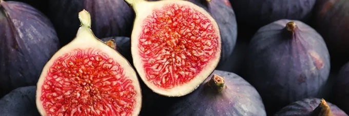 feigen-und-wespen-wie-pflanzen-und-bestauber-zusammenarbeiten