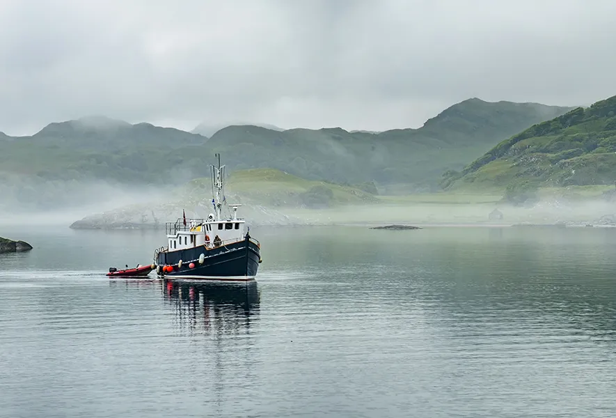 Woher kommt dein Fisch?
