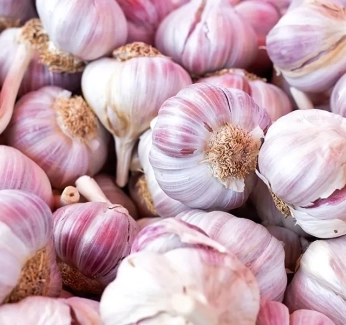 category-image-garlic.webp