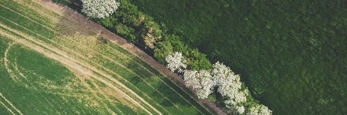 el-pacto-verde-europeo-cinco-maneras-en-las-que-la-politica-podria-impactar-en-nuestro-sistema-alimentario