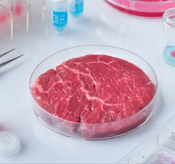 category-image-labgrownmeat.webp