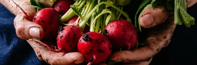 que-son-los-alimentos-organicos-estan-realmente-libres-de-productos-quimicos