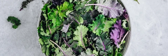 pflanzenbasierte-eisenquellen