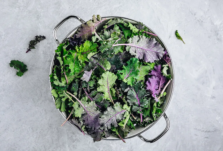 Pflanzenbasierte Eisenquellen