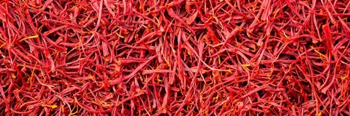 saffron-how-its-grown