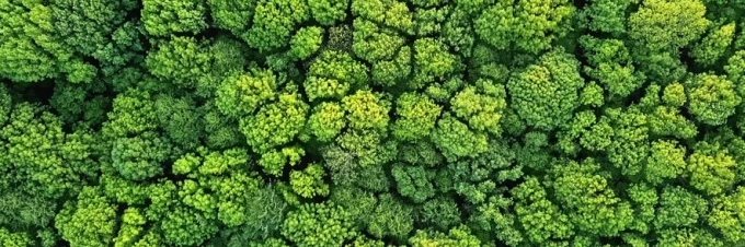 es-la-sostenibilidad-realmente-para-todos-opinion