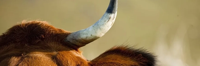 trace-your-food-back-to-its-source