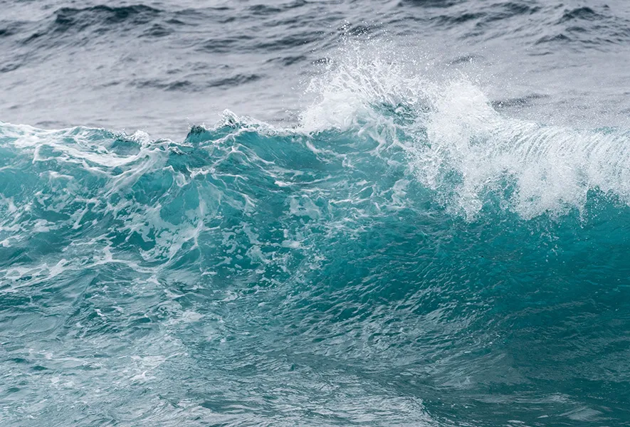 Kennst du den Wasserfussabdruck dieser herkömmlichen Lebensmittel?