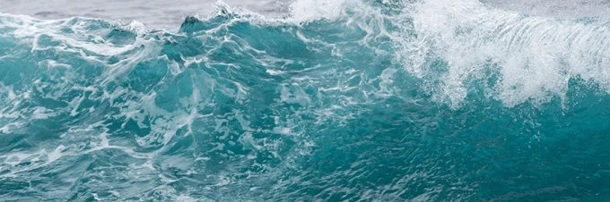 conoces-la-huella-hidrica-de-estos-alimentos-comunes