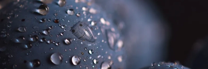 la-huella-hidrica-de-los-alimentos