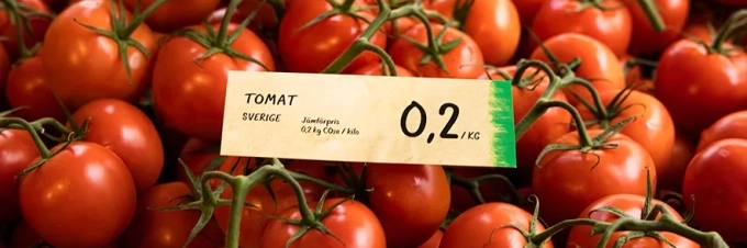 was-kosten-lebensmittel-wirklich