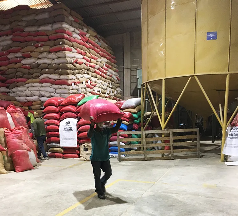 Coffee farmer Rufo shares his life on the coffee plantation.