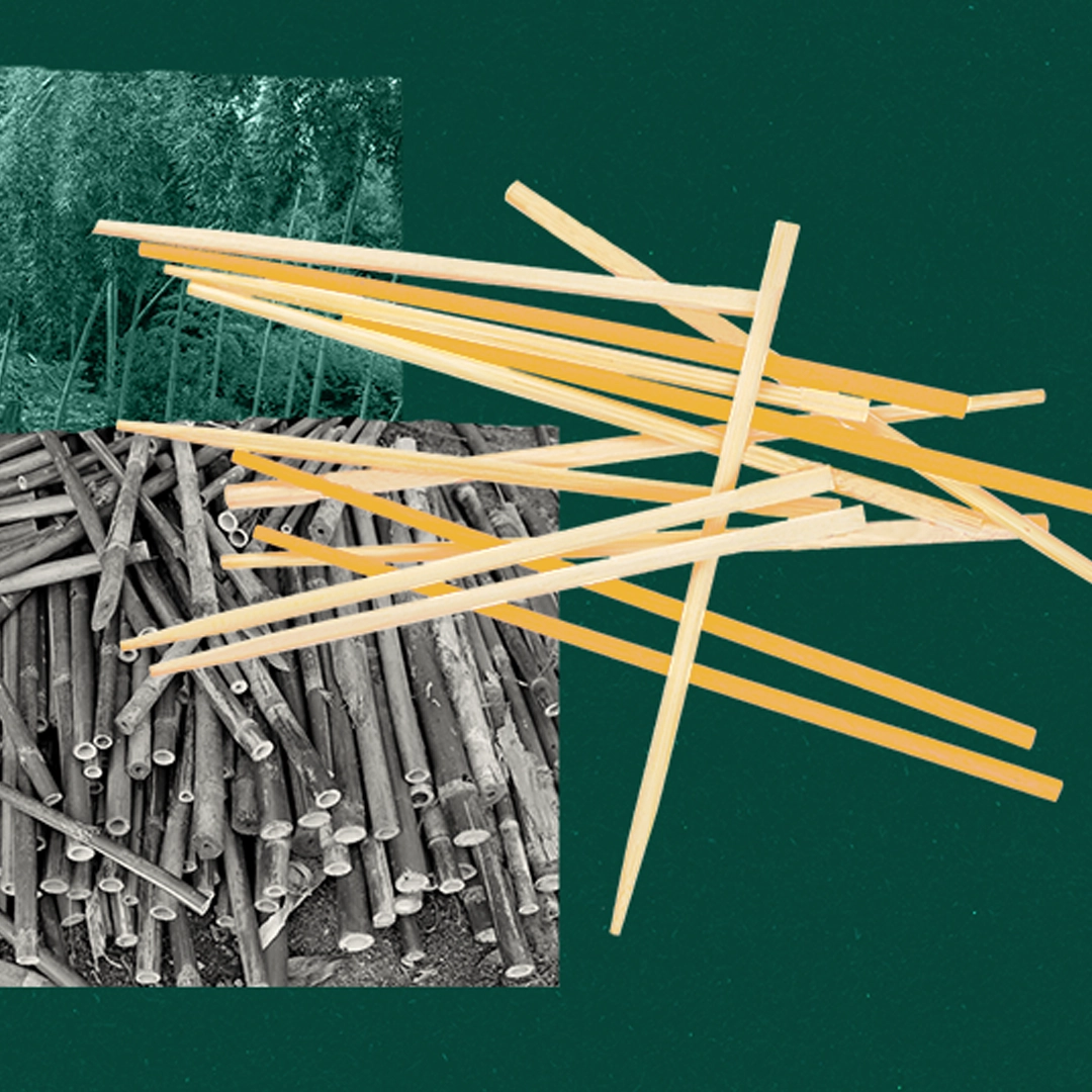 Einweg-Essstäbchen und ihre Auswirkung auf unsere Umwelt