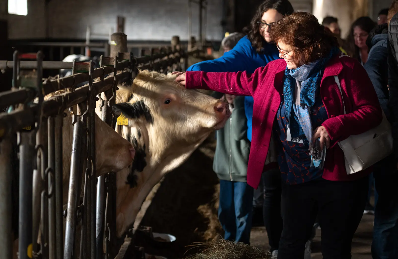 Kostenloses Mittagessen für alle Schüler:innen –eine hitzige Debatte
