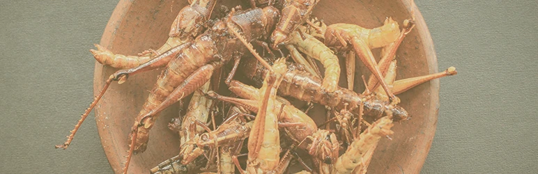 What bugs can you eat