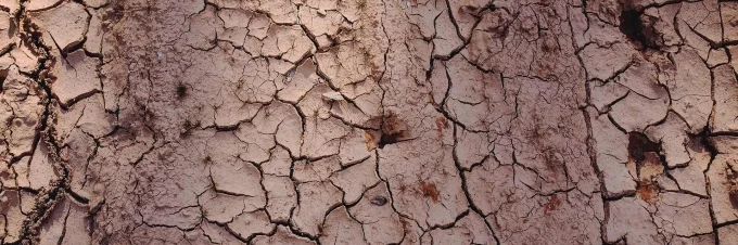 escasez-de-agua-6-formas-de-reducir-el-consumo-de-agua-en-la-agricultura