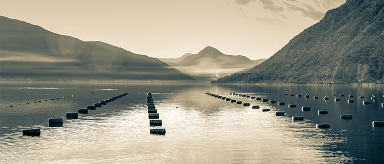 Farming That Protects the Environment