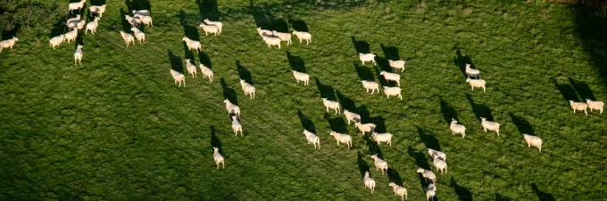 tracing-your-food-understanding-its-journey-from-farm-to-table