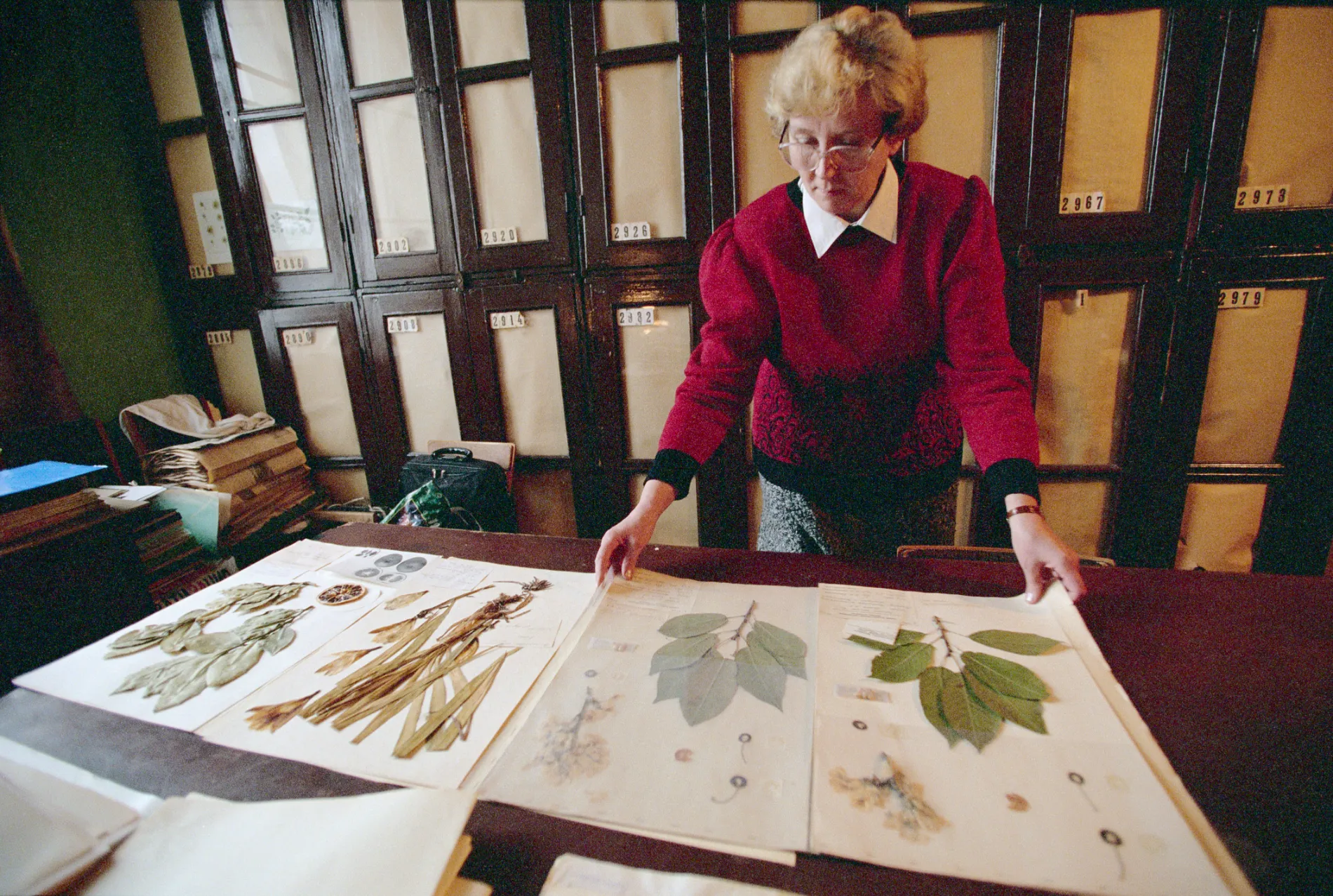 Scientists working in the Vavilov Institute of Plant Industry which researches vegetal genetics and seed conservation.