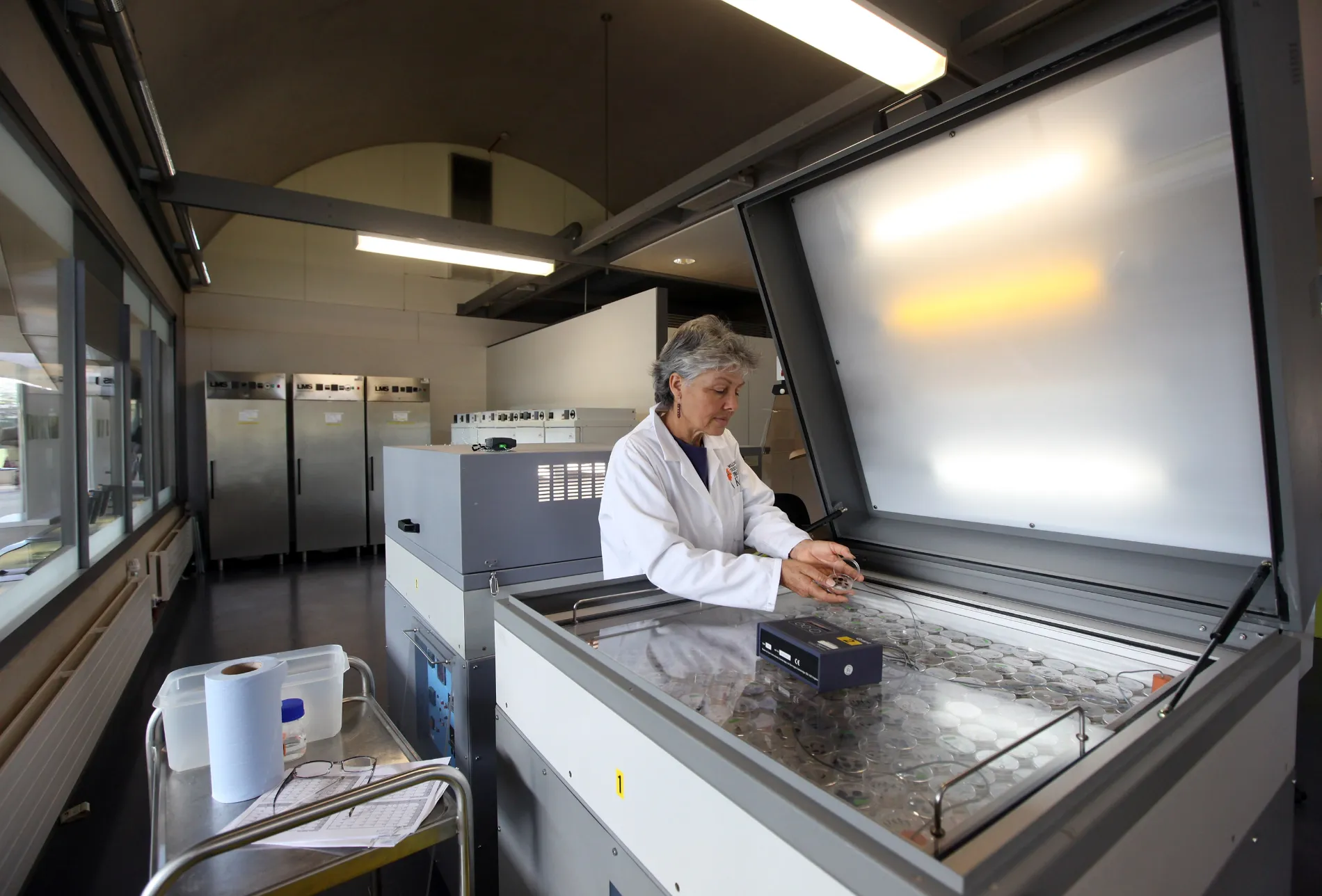Anne Cochrane, a Senior Research Scientist, examines her germinating seeds in petri-dishes in the germination area of Kew's Millennium Seed Bank.