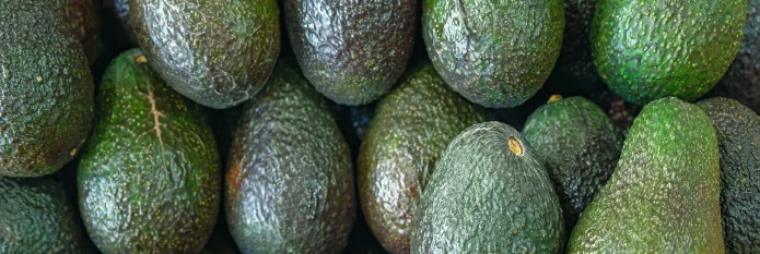 header-banner-avocado-cost.webp