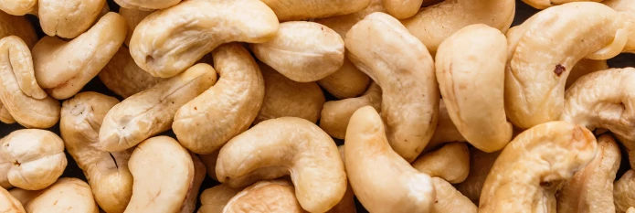 header-banner-cashewnutproduction.webp