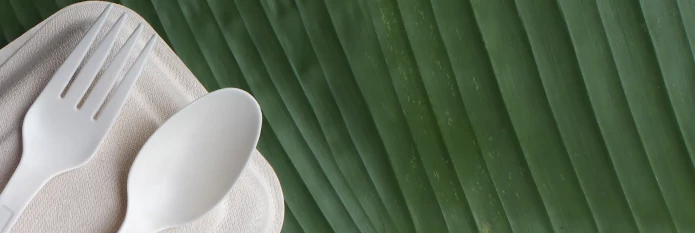 header-banner-compostable-plastics.webp