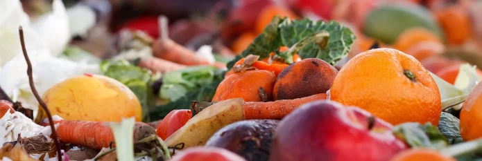 header-banner-covid19foodwaste.webp