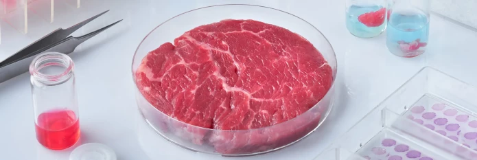 header-banner-labgrownmeat.webp