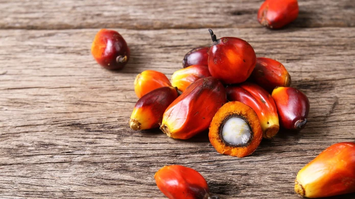header-banner-palmoil.webp