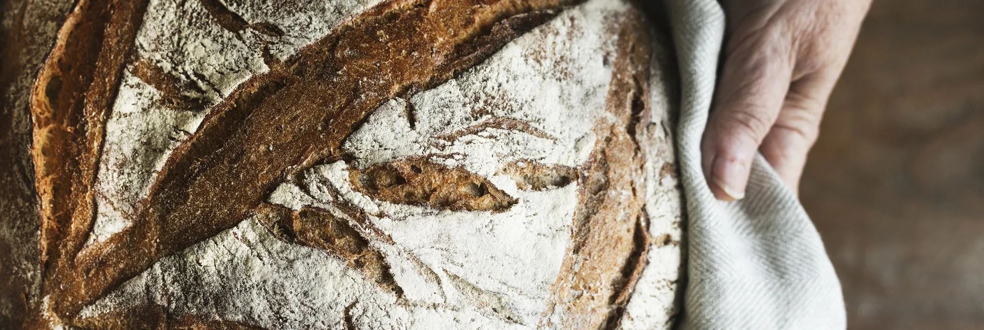 Sauerteig | ein historisches Handwerk wird wiederentdeckt